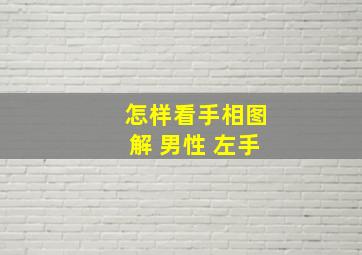 怎样看手相图解 男性 左手